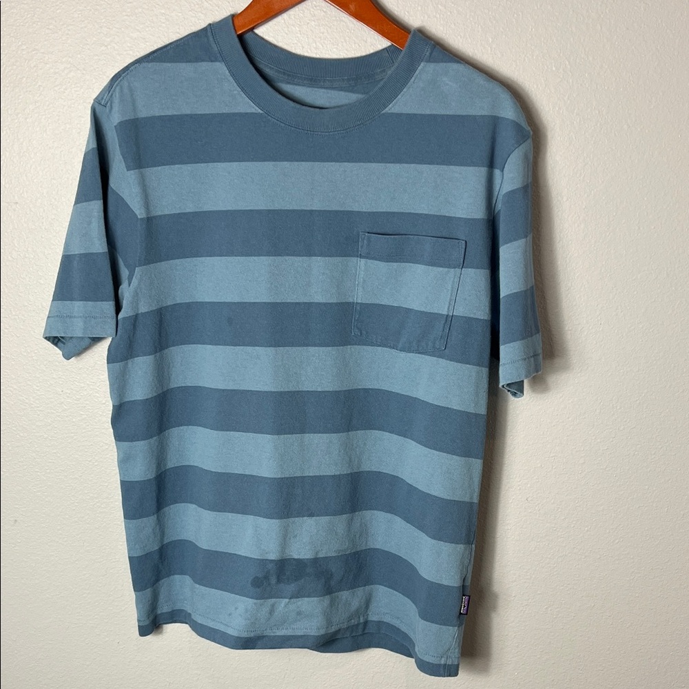 Patagonia Men's Teal Striped Short Sleeve Tee
